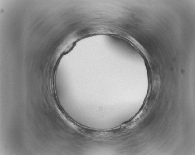 X0000060261293200511181345