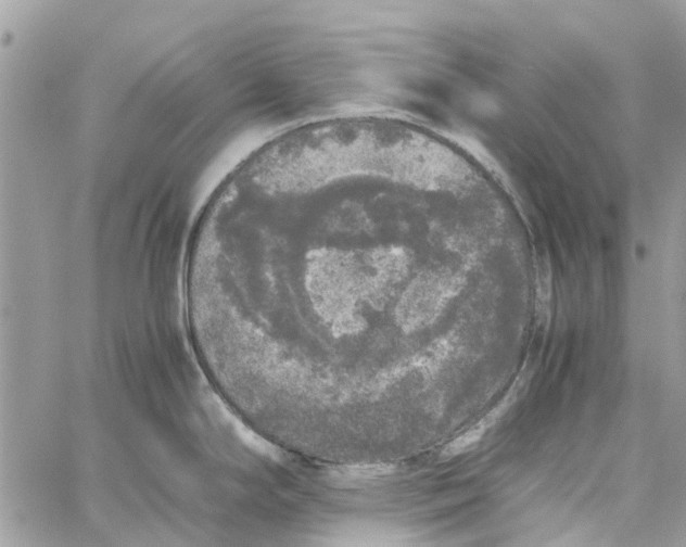 X0000060261294200511181344