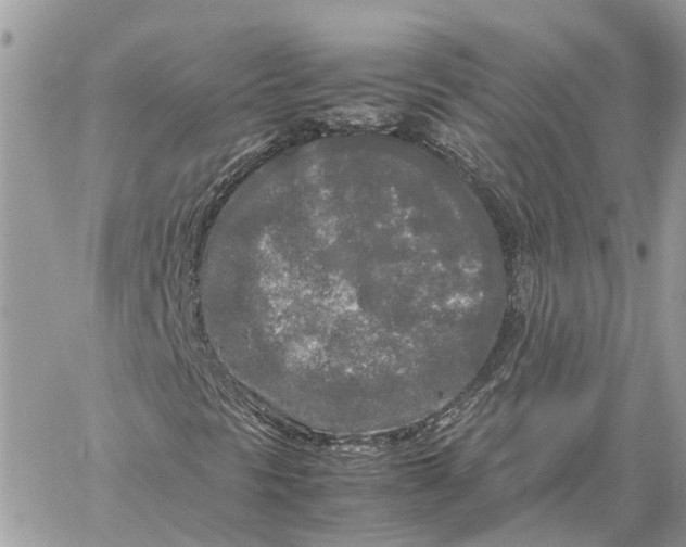 X0000060261297200511181344