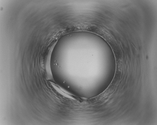 X0000060261298200511181344