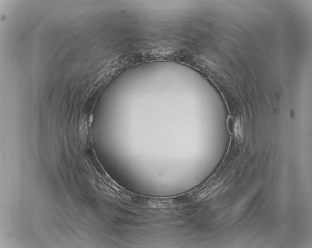 X0000060261299200511181344