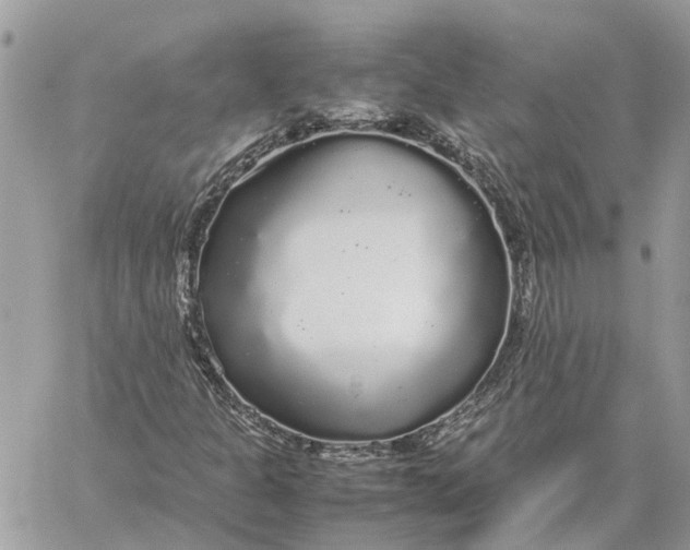 X0000060261301200511181344