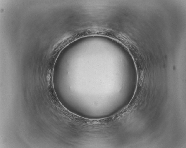 X0000060261302200511181344