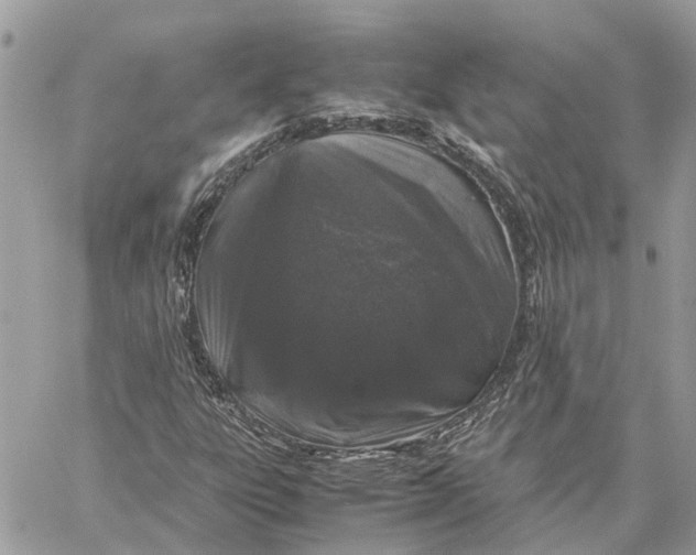 X0000060261303200511181344