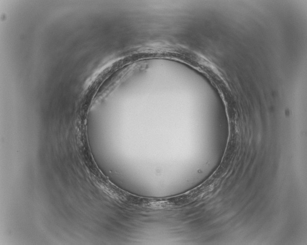 X0000060261304200511181344