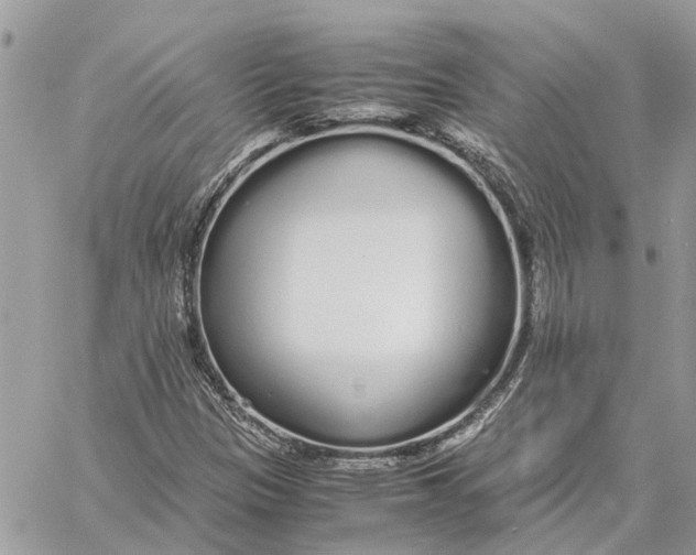 X0000060261305200511181344