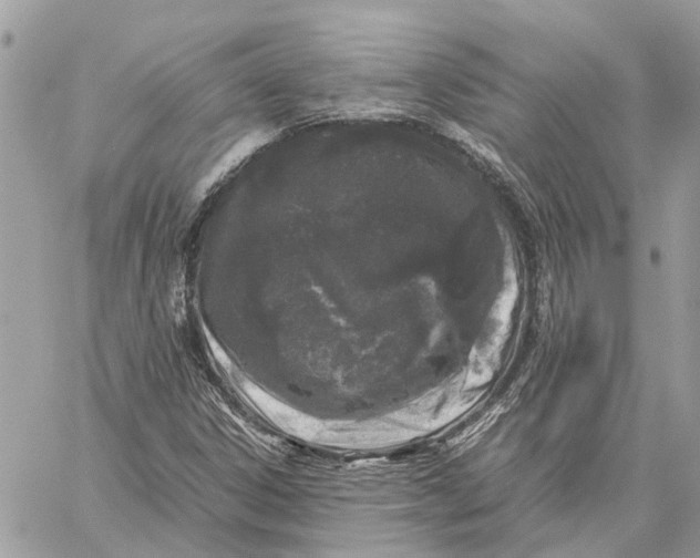 X0000060261306200511181344