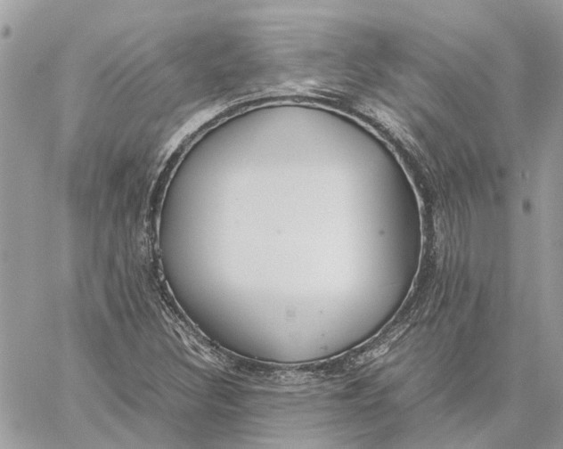 X0000060261308200511181344