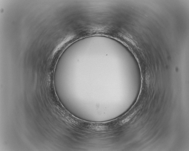 X0000060261309200511181344