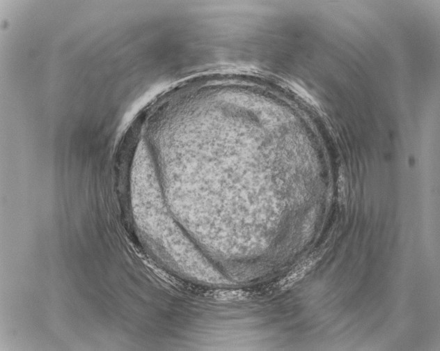 X0000060261310200511181344