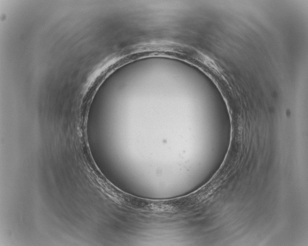 X0000060261312200511181344