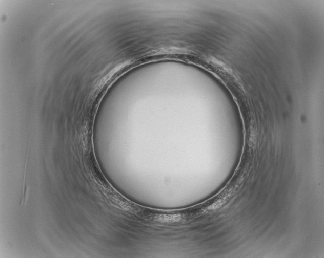 X0000060261313200511181344