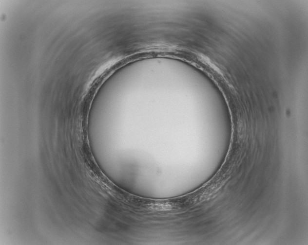 X0000060261315200511181344