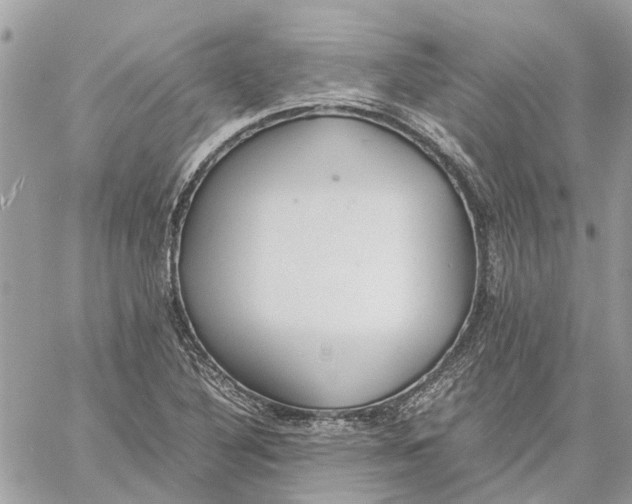 X0000060261316200511181344