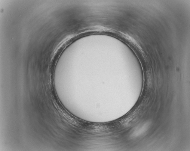 X0000060261318200511181344