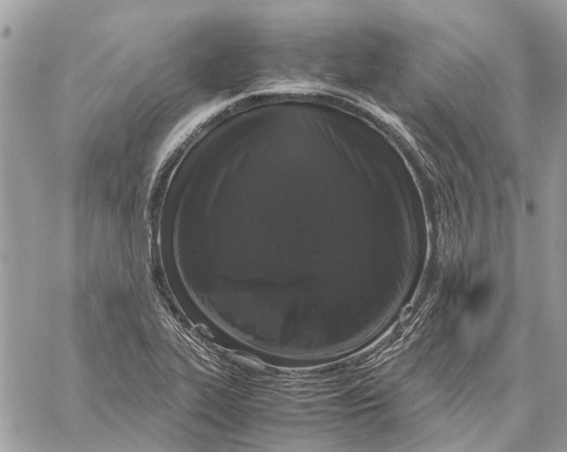 X0000060261319200511181344