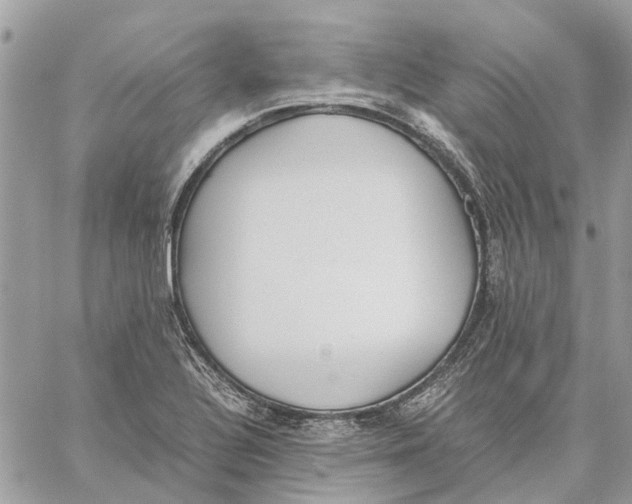 X0000060261320200511181344