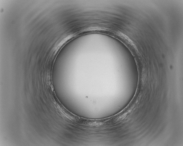 X0000060261321200511181344