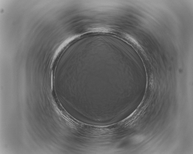 X0000060261323200511181344