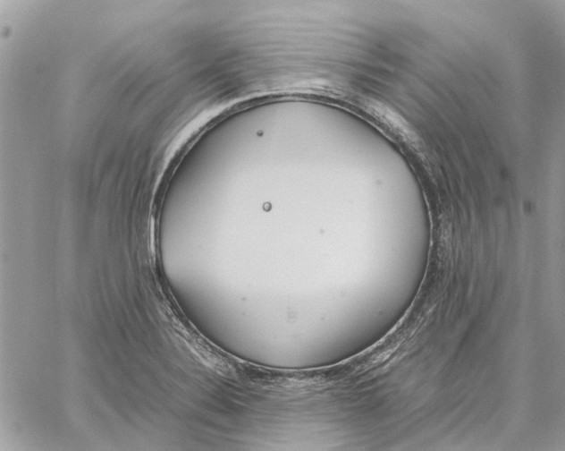 X0000060261324200511181344