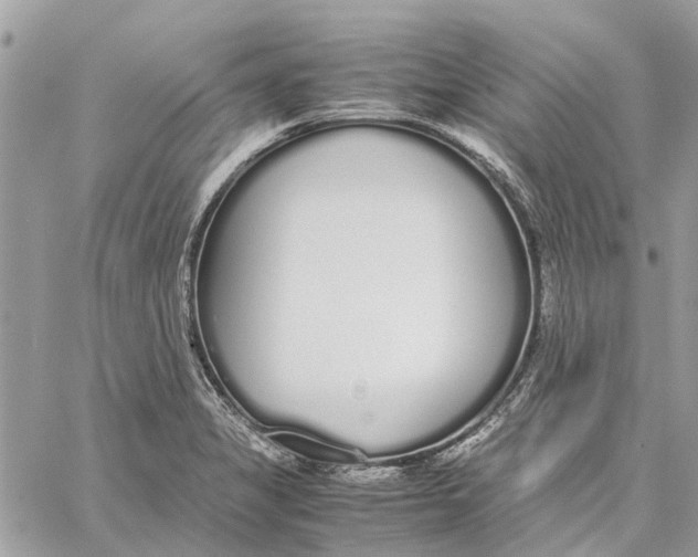 X0000060261325200511181344