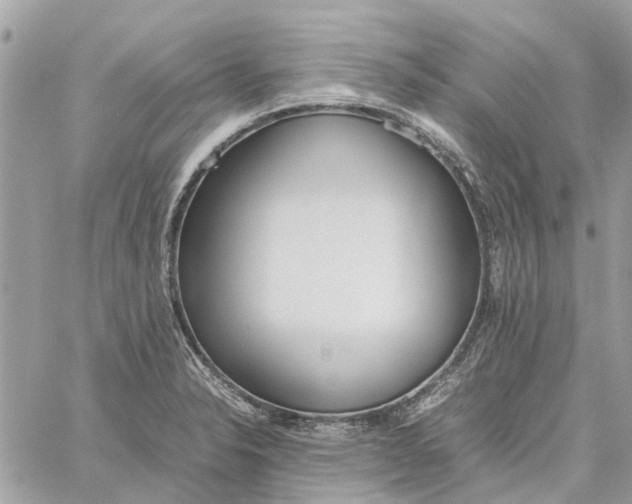 X0000060261326200511181344