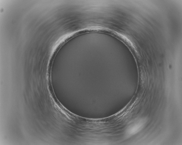 X0000060261327200511181344