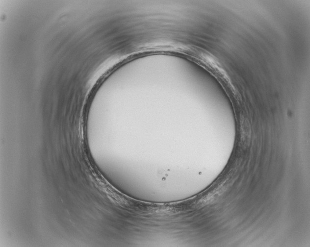 X0000060261328200511181344