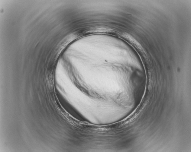 X0000060261329200511181344