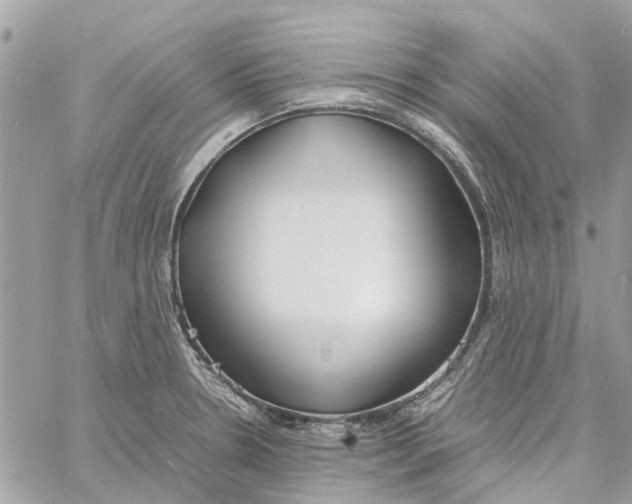 X0000060261330200511181344