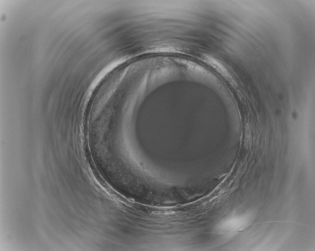 X0000060261331200511181344