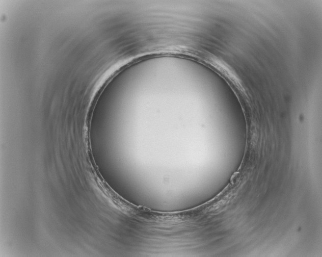 X0000060261332200511181344