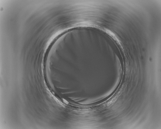 X0000060261334200511181344