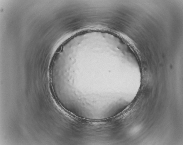 X0000060261335200511181344