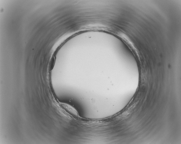 X0000060261336200511181344