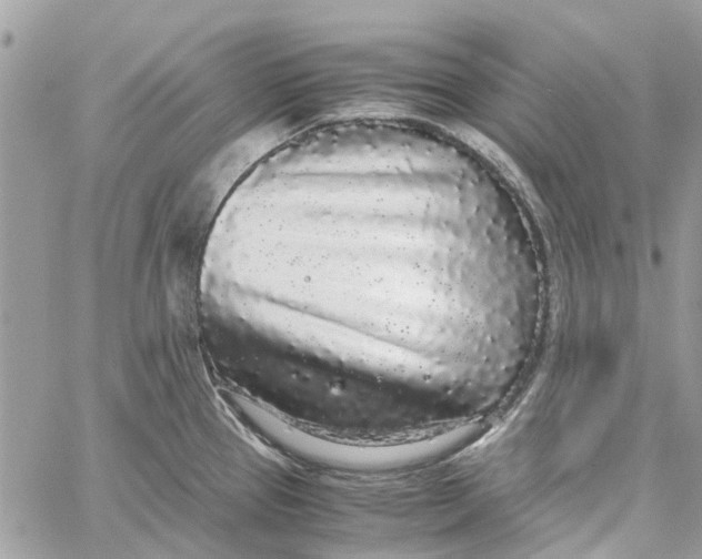 X0000060261337200511181344