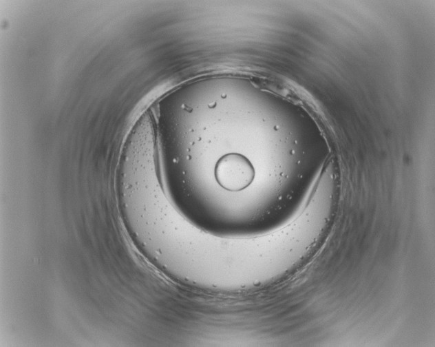 X0000060261338200511181344