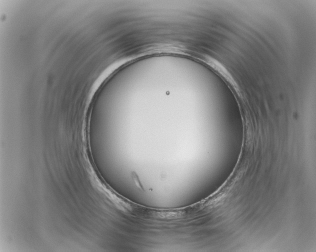 X0000060261339200511181344