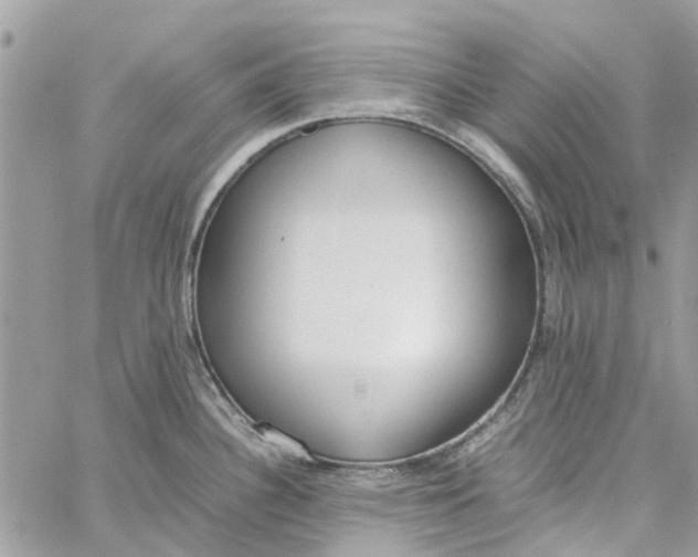 X0000060261340200511181344