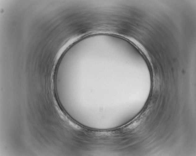 X0000060261341200511181344