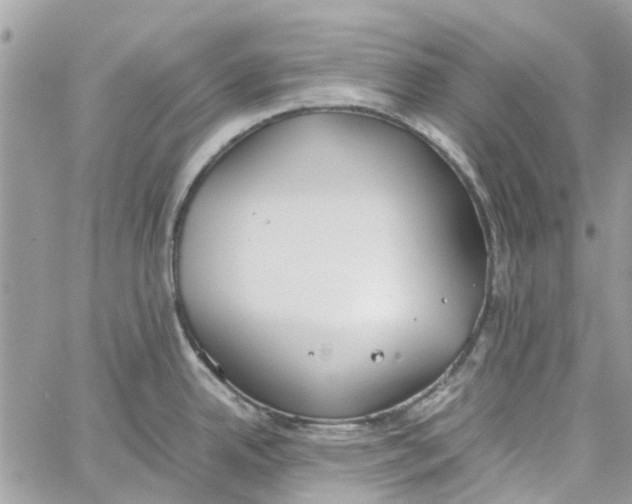 X0000060261342200511181344