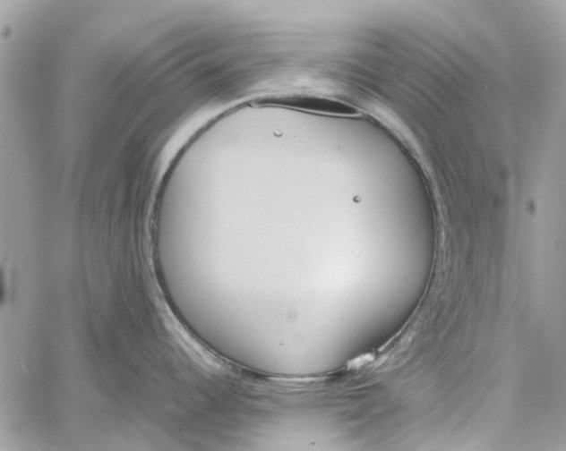 X0000060261344200511181344