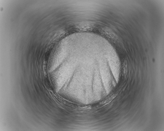 X0000060261346200511181344