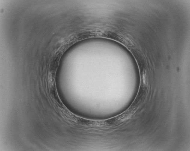 X0000060261347200511181344