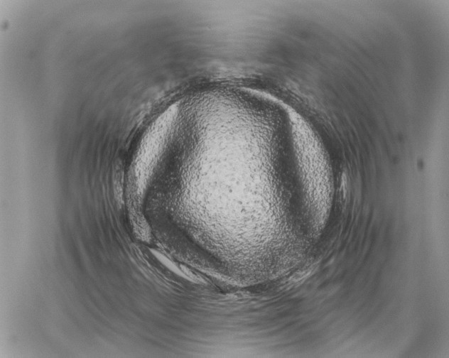 X0000060261348200511181344