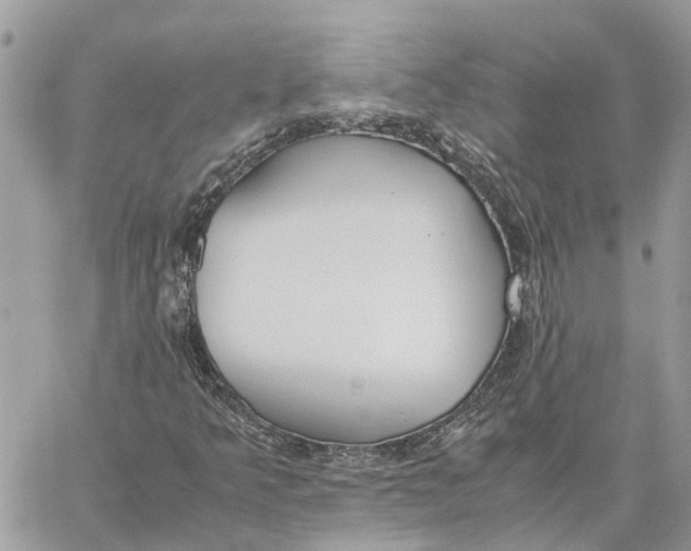 X0000060261349200511181344