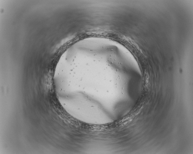 X0000060261350200511181344