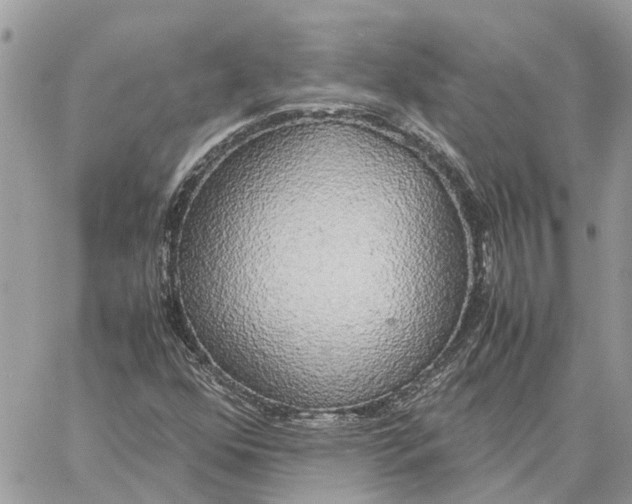 X0000060261352200511181344