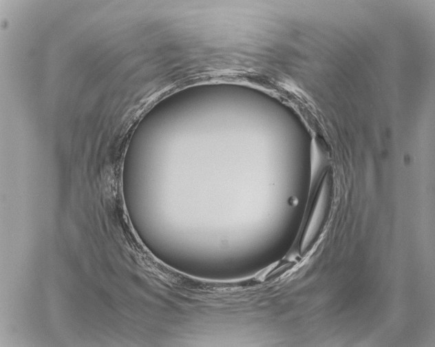 X0000060261353200511181344