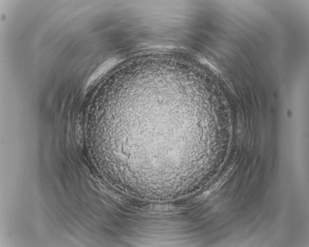 X0000060261354200511181344